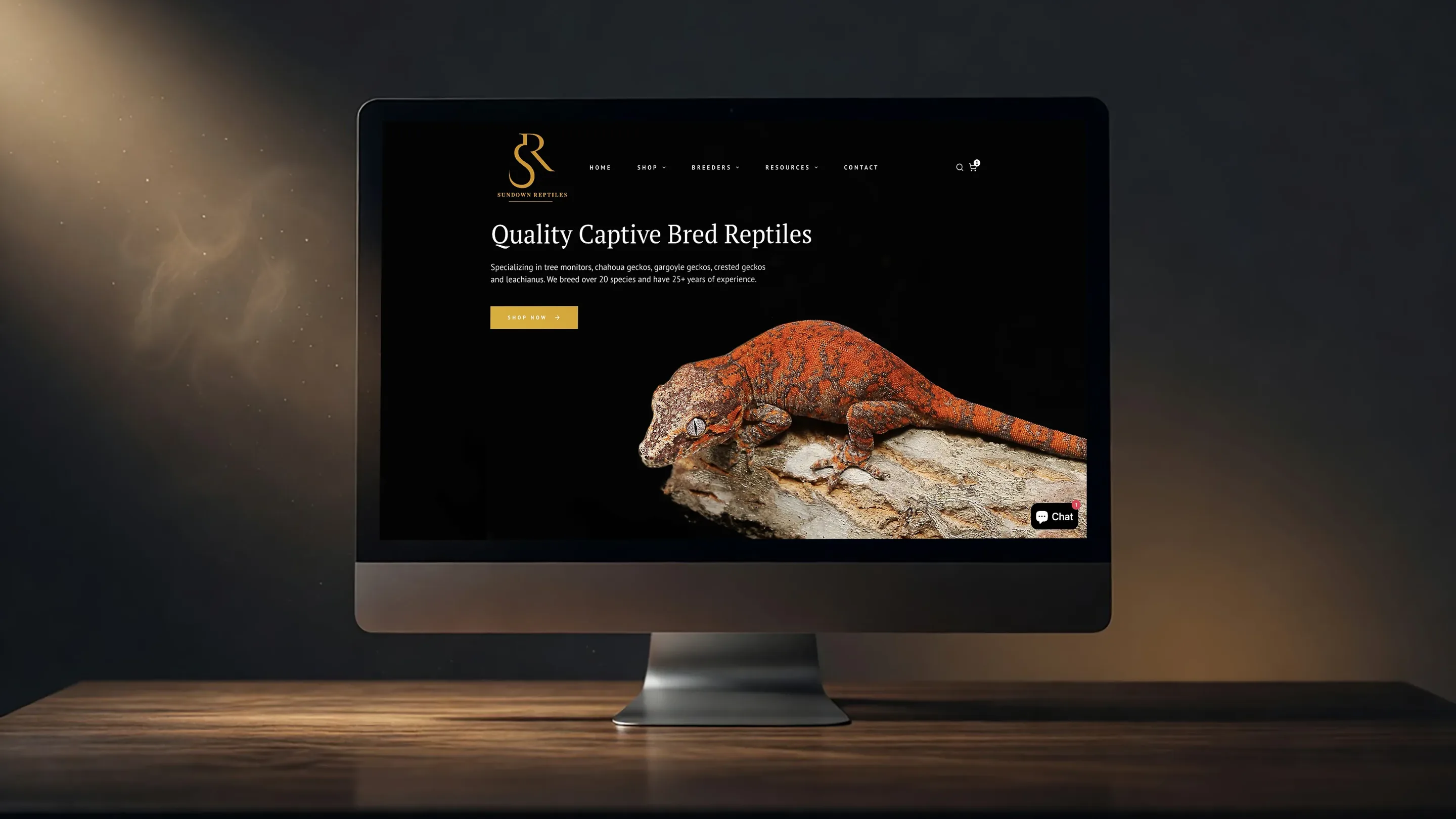 Sundown Reptiles website on a desktop monitor, its homepage headline reading Quality Captive Bred Reptiles beside a gargoyle gecko on a branch